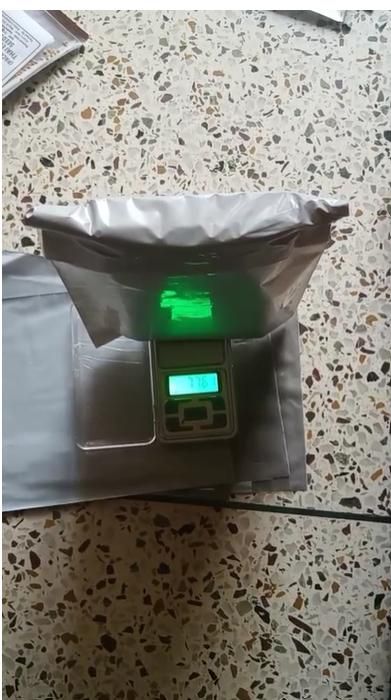 Rare Milk Strawberry Seeds ( Pack of 20) + Plant Growth Serum Free